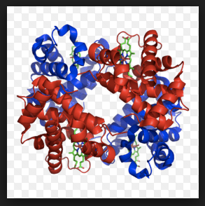 Screen Shot 2017-09-26 at 3.53.21 PM