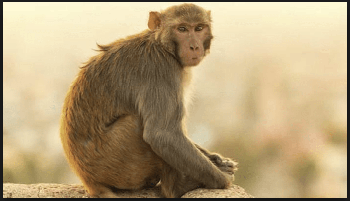 Screen Shot 2017-10-11 at 3.57.53 PM