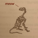 Screen Shot 2019-10-25 at 4.43.42 PM