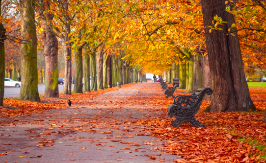 Screen Shot 2019-11-25 at 4.34.29 PM